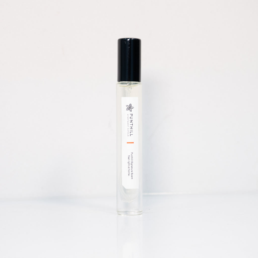 Travel Spray